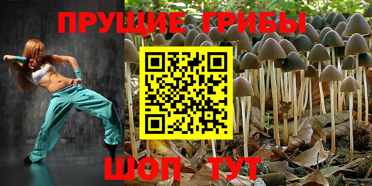 Галлюциногенные грибы GOLDEN TEACHER  Вход с VPN  Калининград 